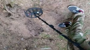 X Terra Elite и Эквинокс 700 ГЛАВНОЕ ОТЛИЧИЕ