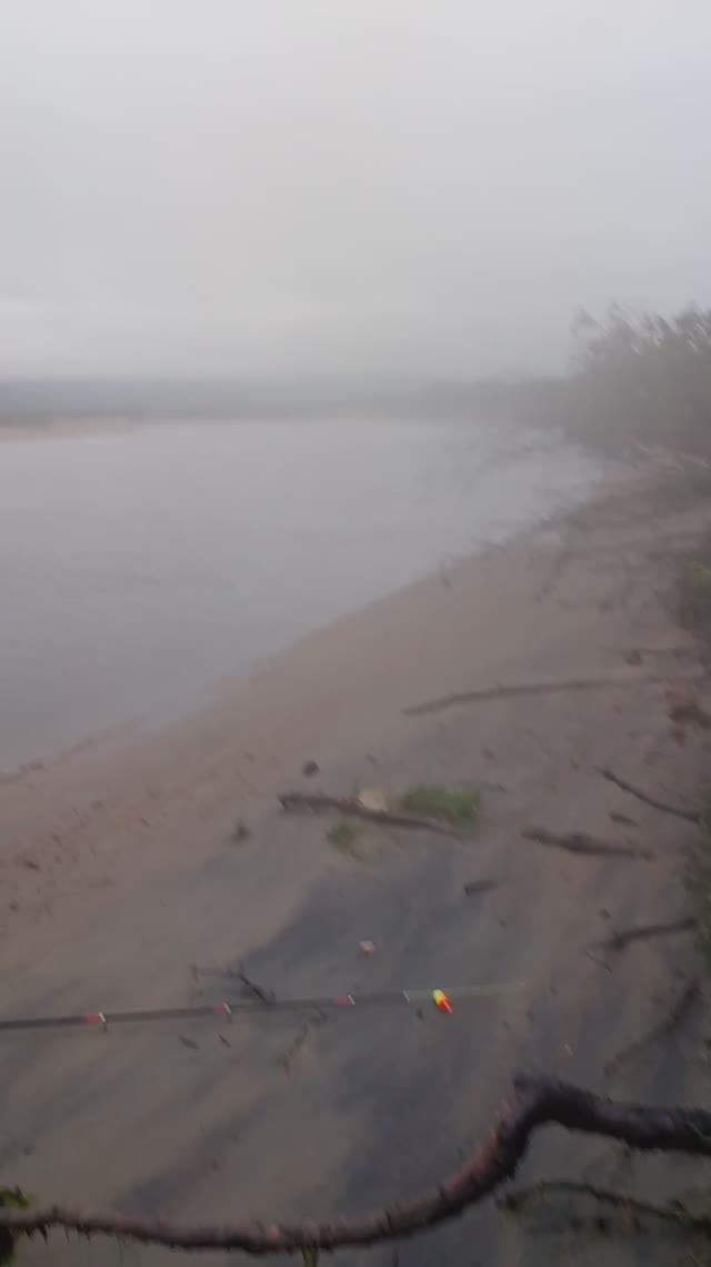 Печенга Хмурое утро