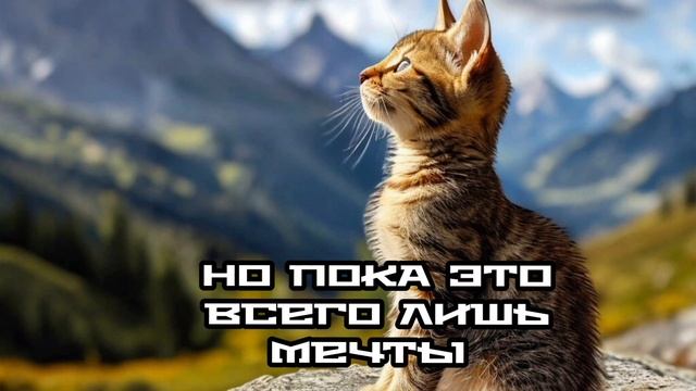 Нейрокотики Мяу Мяу | Грустная история маленького кот?