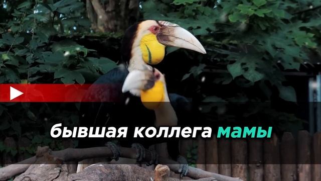 На семейном рождественском обмене подарками я вручил