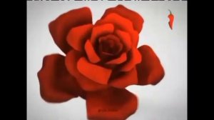 Сборник Оформления Телеканала Перец 2011-2015