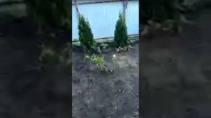 8 лет Ютуб-каналу «Деревенский дневник очень многодетной мамы»😍