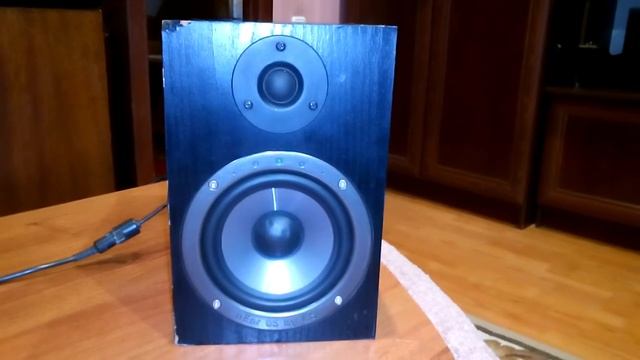 Студийный монитор NEar 05 By ESI.