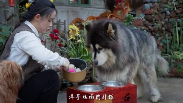 -7083062408055194594