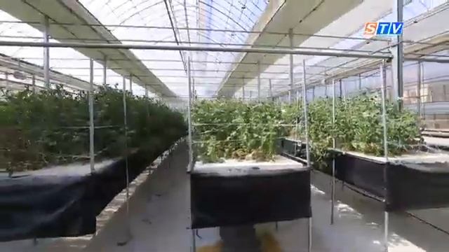 Ученые Самарканда со специалистами из Южной Кореи раб