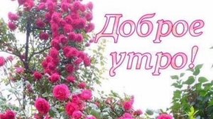 СЕГОДНЯ УТРО САМОЕ МИЛОЕ!