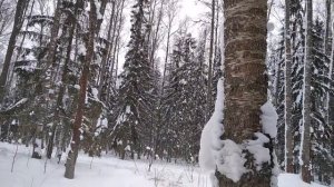 Наш воскресенский день