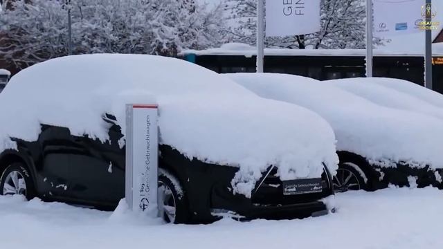 климатический цербер