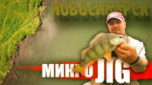 ОКУНЬ на МИКРОДЖИГ / Рыбалка в НОВОСИБИРСКЕ.