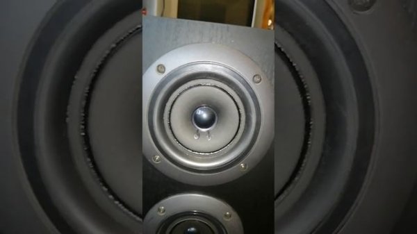 Pioneer CS-5030 Видео работы перед отправкой покупателю.