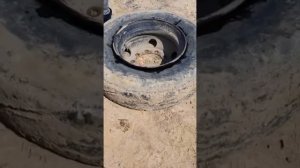 Снятие шины камаз! Камаздың покрышкасын шешу!