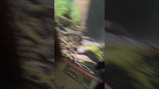 Разморозить надо смотреть онлайн