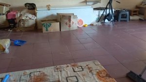 Купили милпразон, гурмэ и собакам кости. Отчет за 08.09.202