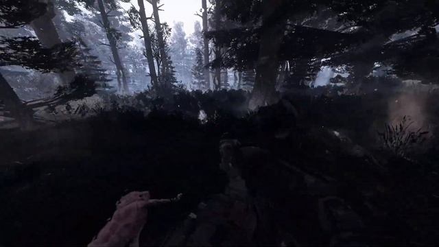 БАСТА - НА ЗАРЕ ( S.T.A.L.K.E.R Anomaly Custom EDIT )