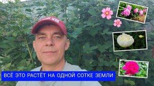 САМ УДИВЛЯЮСЬ, КАК ЭТО ВСЕ РАСТЕТ НА ОДНОЙ СОТКЕ ЗЕМЛИ 😯