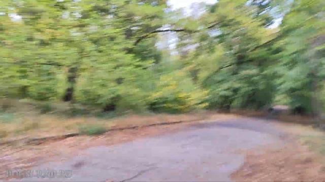 Мохноногая лошадка  Марта, дерзкий глупыш Фокс и... неа?