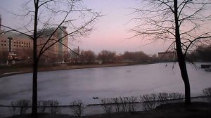 Калитниковский пруд. г. Москва,и немного личной истори