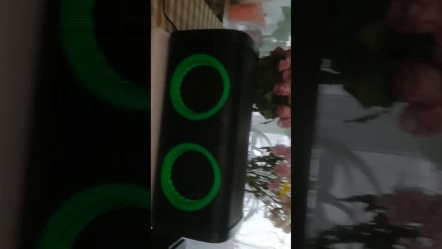 16 июня 2024 г.