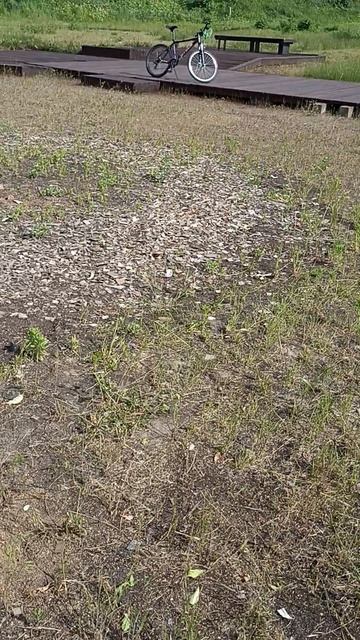 А где цветы для Снежного человека смотреть онлайн