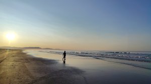 Прогулка на море | Нашли ловушку на осьминога | Красивый закат | Остров Сахалин | Дальний восток