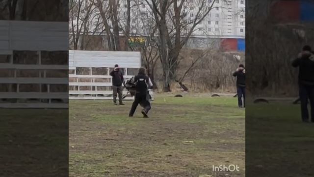 Подготовка немецкой овчарки к соревнованиям по IGP