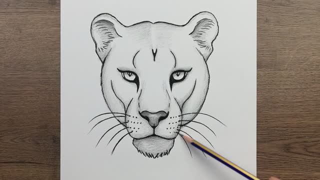Как нарисовать морду льва легко карандашом смотреть онлайн
