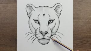 Как нарисовать морду льва легко карандашом