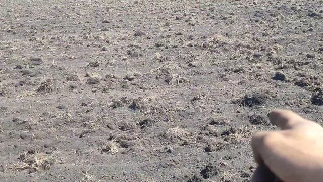 Культивация КПС-4.2 Подготовка почвы к посеву многолет?