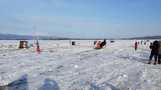 Стрельба из лука на санях #стрельба из лука