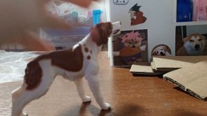 фигурка собаки распаковка!