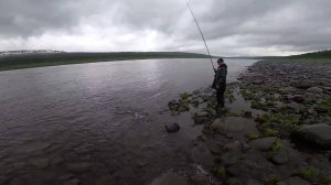 Рыбалка. Спиннинг и Поплавок. (часть 1..) 21.06.2020