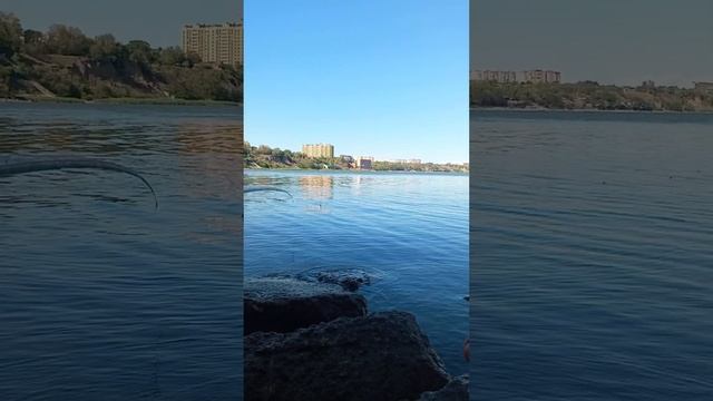 Рыбалка в Таганрогском заливе на бычка #таганрог #fishing смотреть онлайн