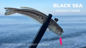 Поймали самую ядовитую рыбу! Рыбалка на Черном море с сыном.