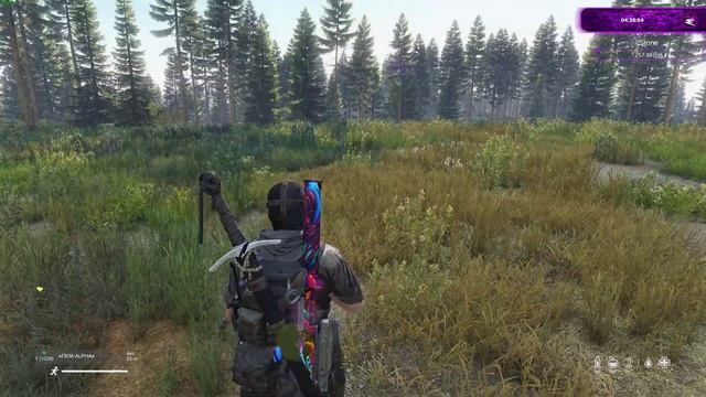 DayZ TWINKLE PLAY (ВЕДЬМИНА ГОРА , СОСНОВЫЙ БОР , ЛАБИРИНТ) смотреть онлайн