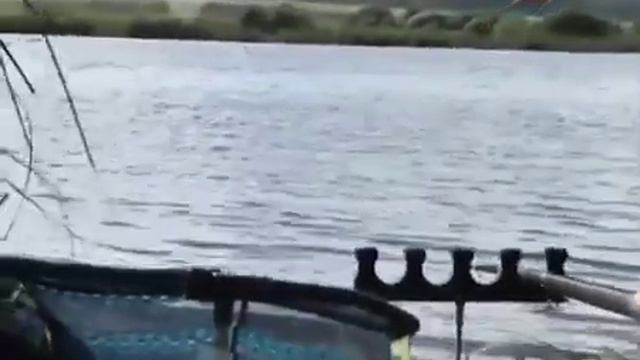 Карп на фидер на платнике