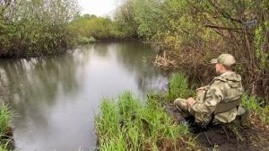 ПЕРВЫЙ РАЗ ЛОВЛЮ ЩУКУ НА ЖИВЦА. Рыбалка на живца