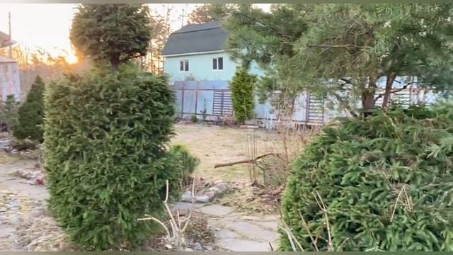 Сад, Сонечка, собака🍀Сад Девятой реальности🌳 смотреть онлайн