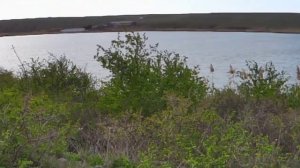 Рыбалка Донузлав 2025