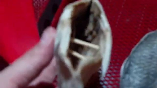 Сушим рыбу Электросушилка Бест