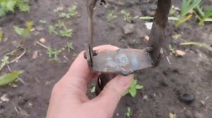 Плоскорез Фокина или пропольник «Стриж»