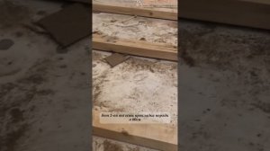 Дом Паркета Пермь | Демонтаж щитового паркета #паркет #