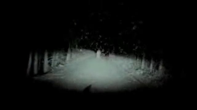 Японский видеорегистратор