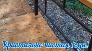 Большая Мурта.Родник Святого Луки.