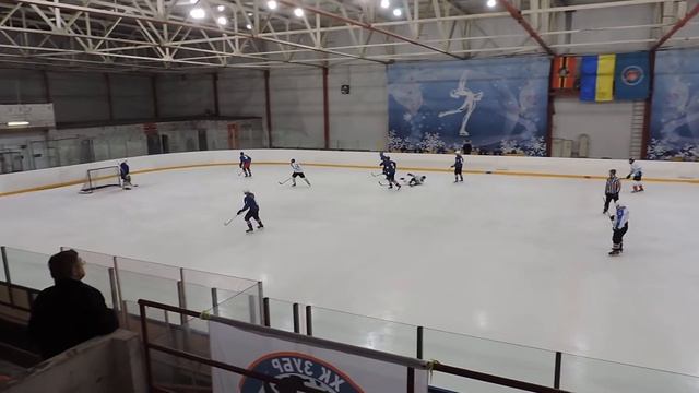 Зубр Ледокол 8 04 2017 первыи период