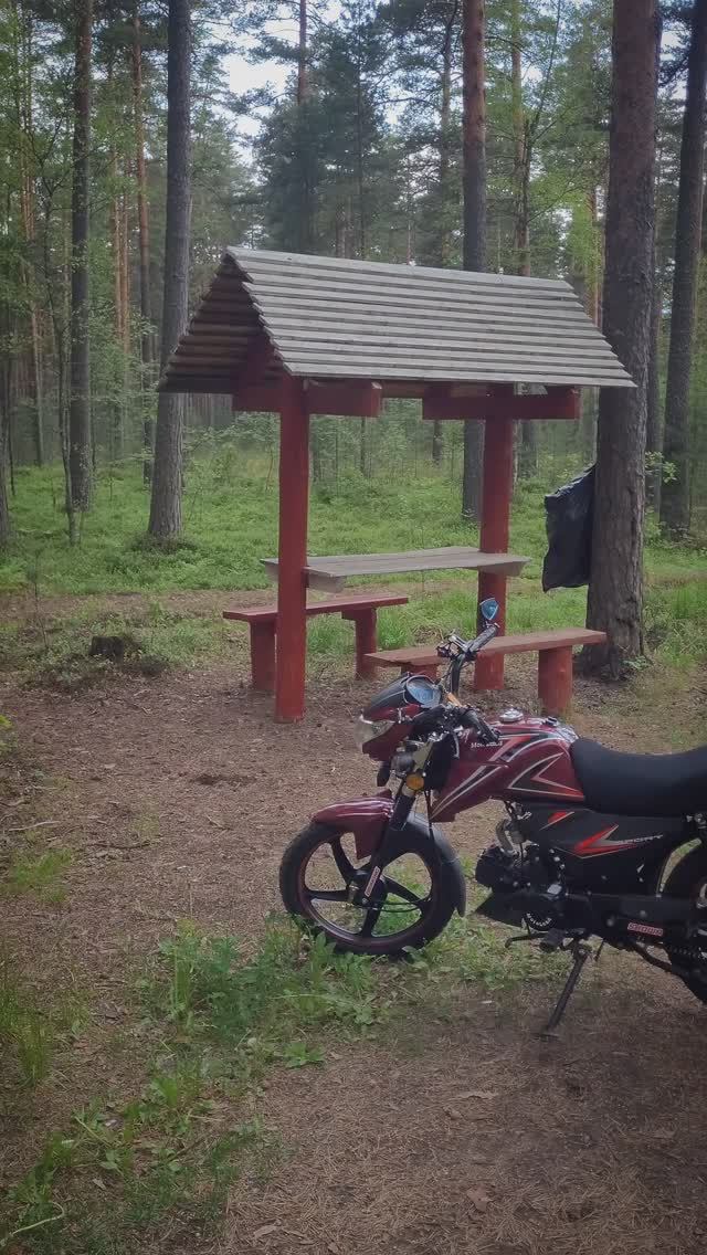 Мопед Альфа и красивые лесные локации смотреть онлайн