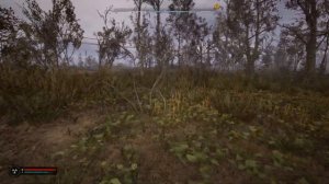 STALKER 2 Heart of Chernobyl #12 «Выполняю разные задания,собираю ар?