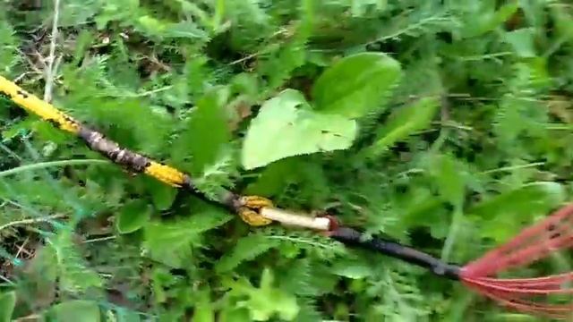 5м,ячея35,цвет хаки. смотреть онлайн