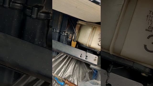 31 августа 2024 г.