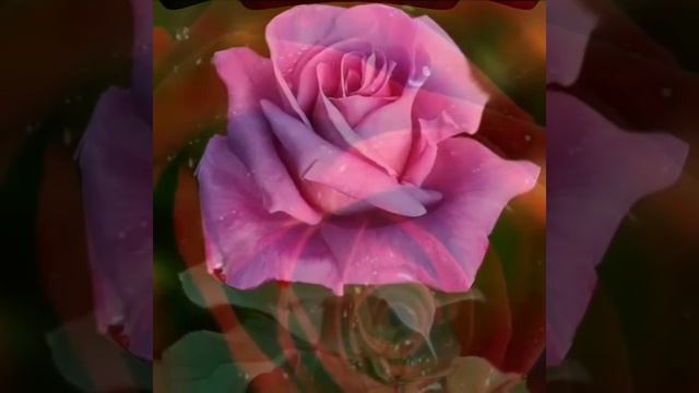 Азамат Исенгазин Эти розы 