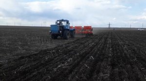 1 мая 2019 год посев ячменя, предшественник подсолнечник